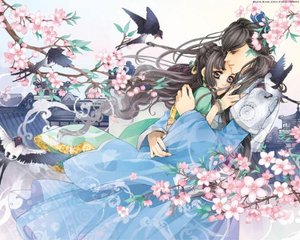 张金鱼吕总